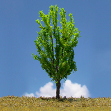 model trees